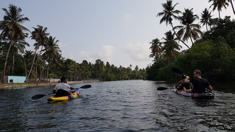 Guests kayaking on the backwaters of Munroe Island